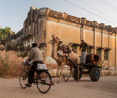 Viajes Rajasthan